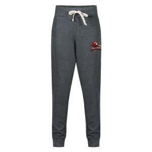 JrPALADINS - Everyday Premium Ring Spun Jogger